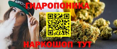 трава Сланцы