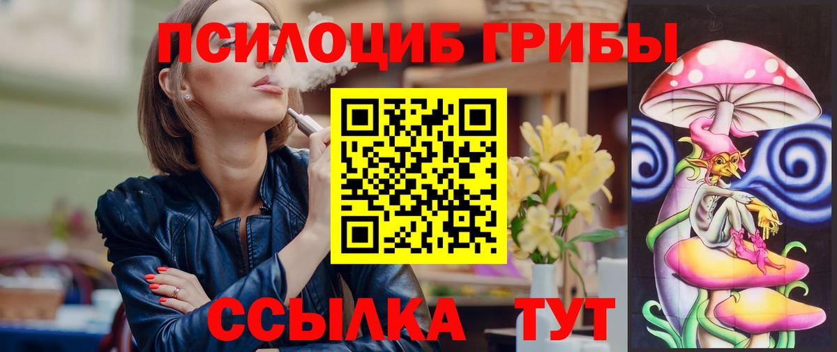 Галлюциногенные грибы Psilocybine cubensis  Вход с VPN  Новый Уренгой 